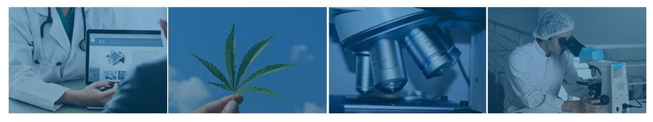 tilray-australia - Gallery Image 2