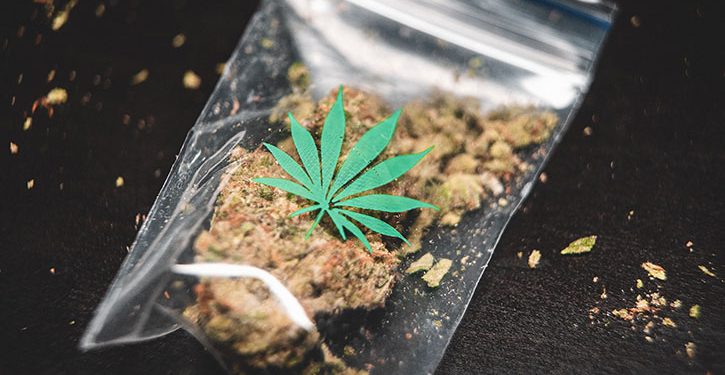 Petition to legalise cannabis in Queensland