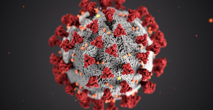 Reports claiming weed kills the new corona virus