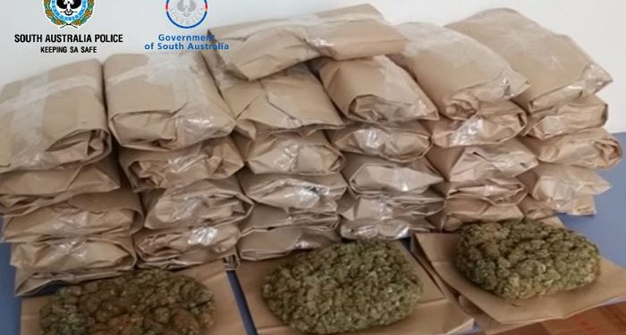 Cannabis being sent from SA to NSW seized