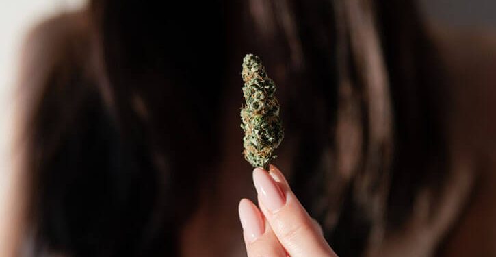 Survey respondents claim medicinal marijuana effective against IBD symptoms