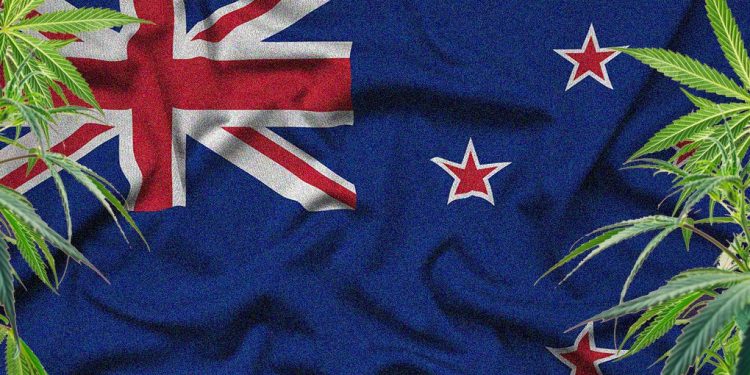 Cannabis plants on a New Zealand flag