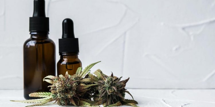 Medicinal cannabis and CBD oil
