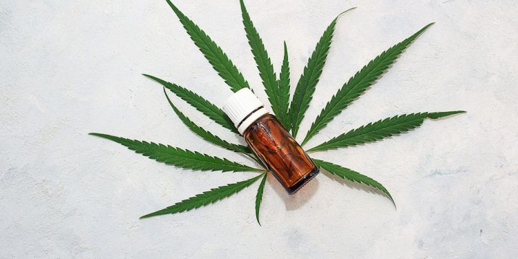 CBD on a marijuana leaf