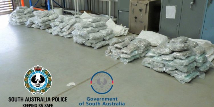 The haul of cannabis seized in South Australia
