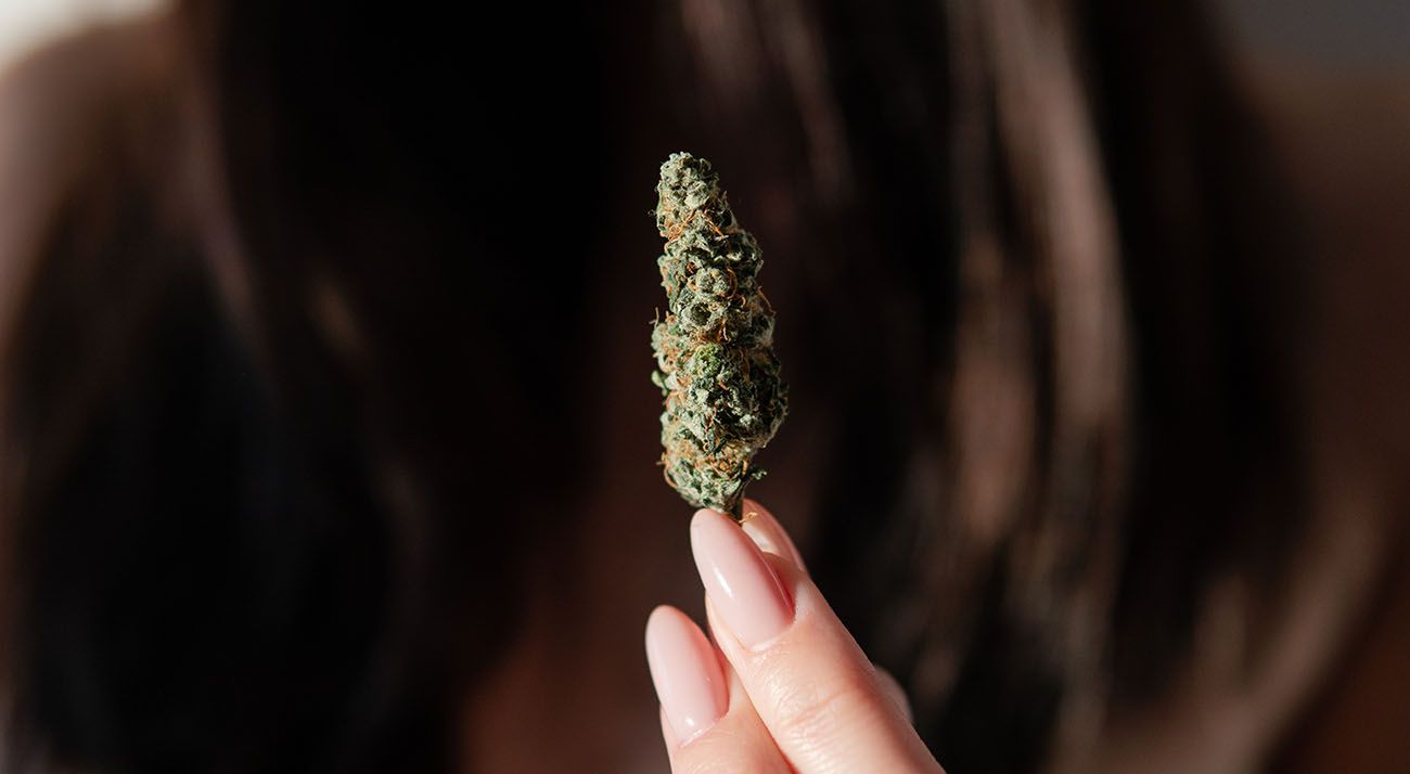 Girl holding a bud of medical marijuana