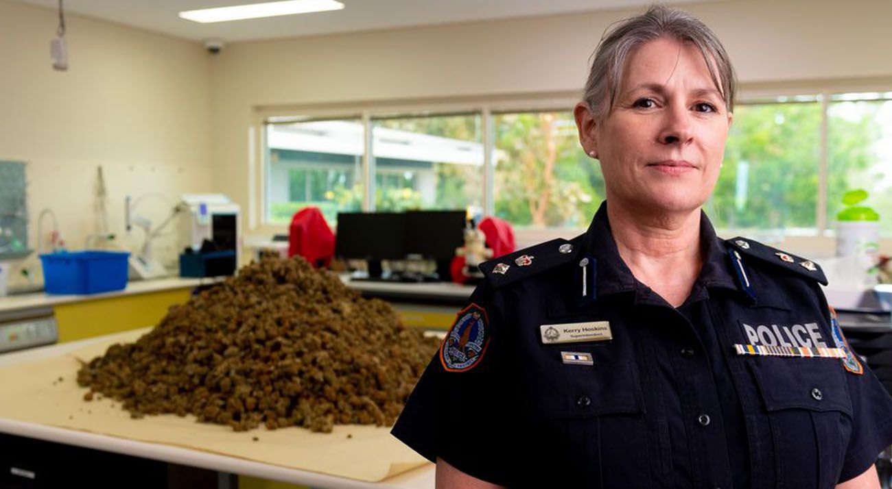 Northern Territory police showcasing a cannabis seizure