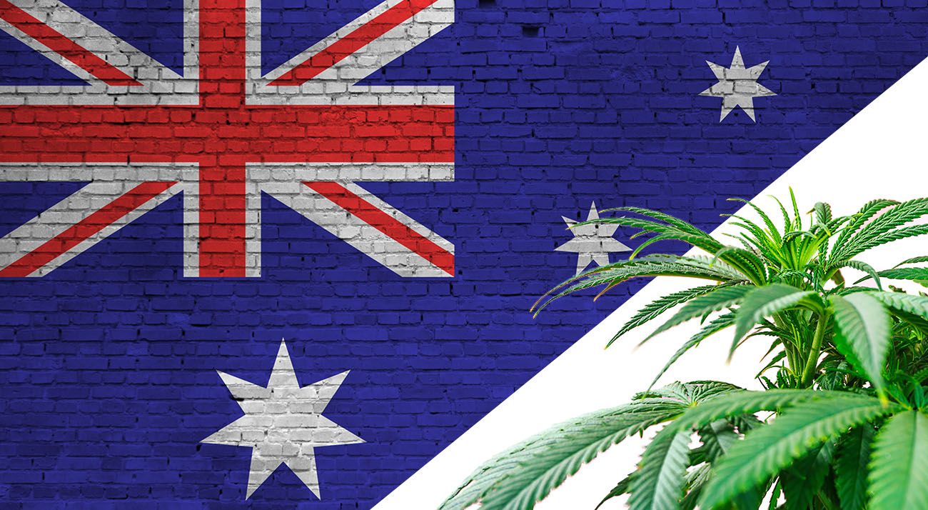 Australian flag with cannabis
