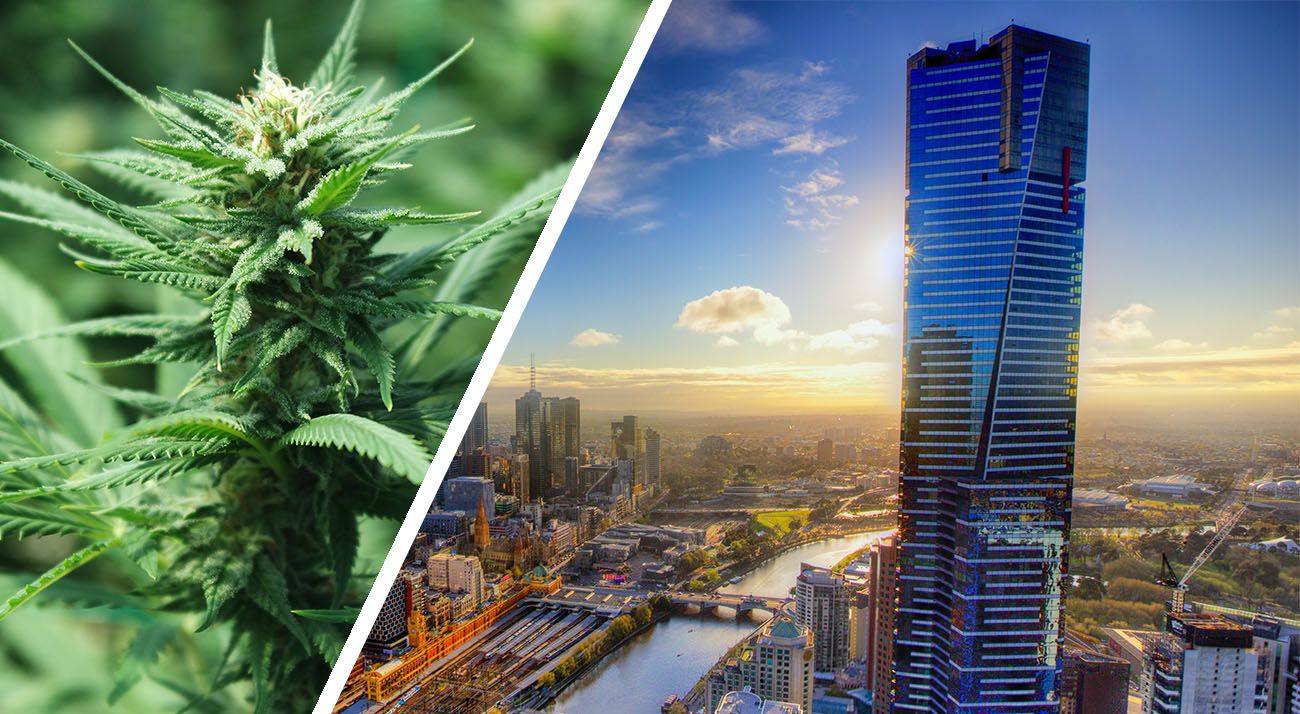 Melbourne city and cannabis photo