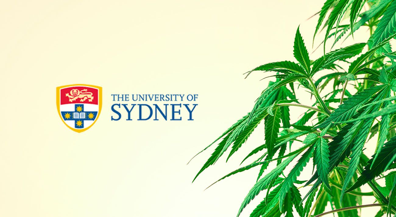 University of Sydney cannabis logo