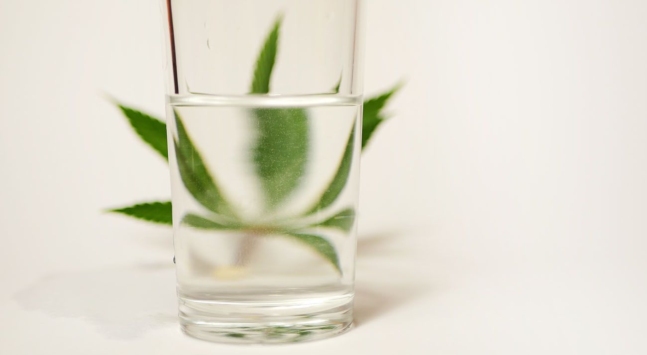 Cannabis behind a glass of water