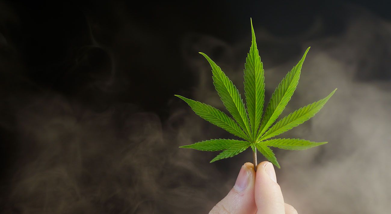 Cannabis leaf with smoke