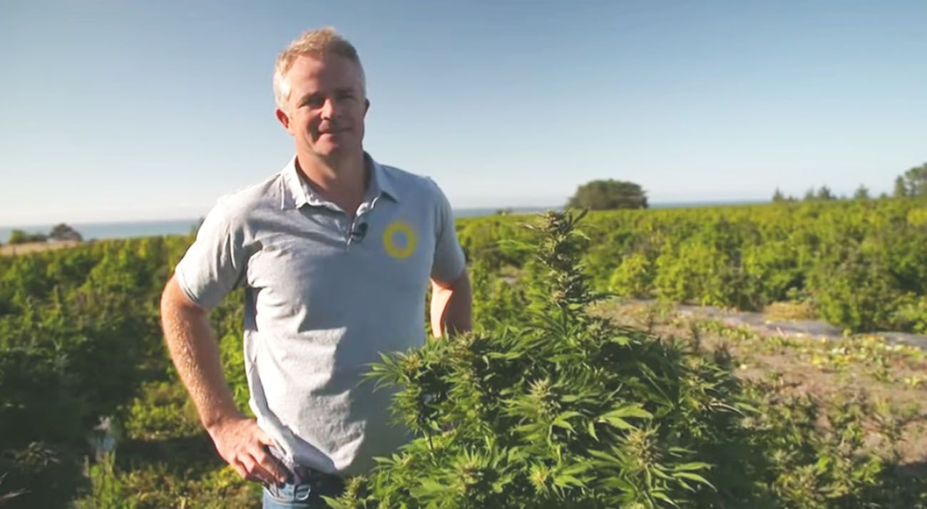 New Zealand medical cannabis company farmer