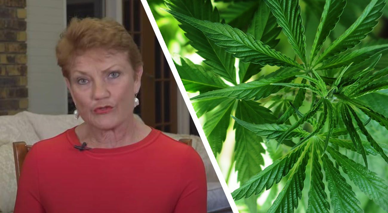 Pauline Hanson One Nation on cannabis legalisation in Australia