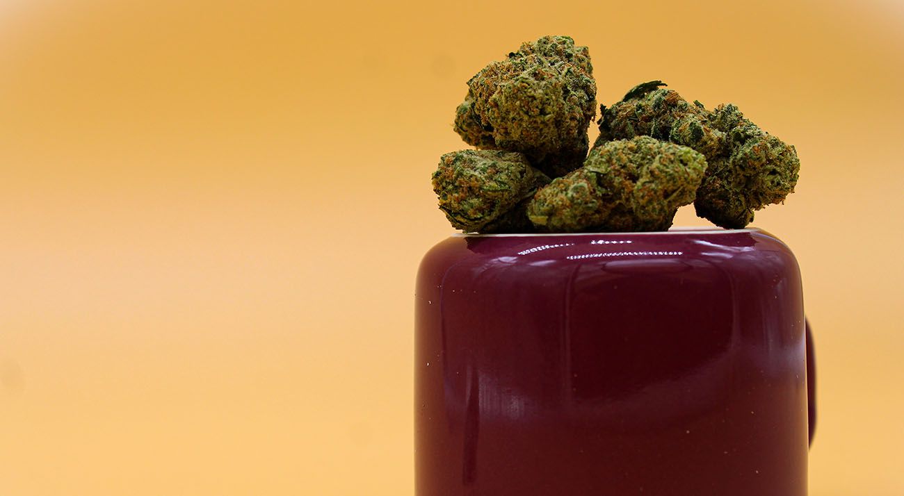 Cannabis flower buds on an upside down coffee jug