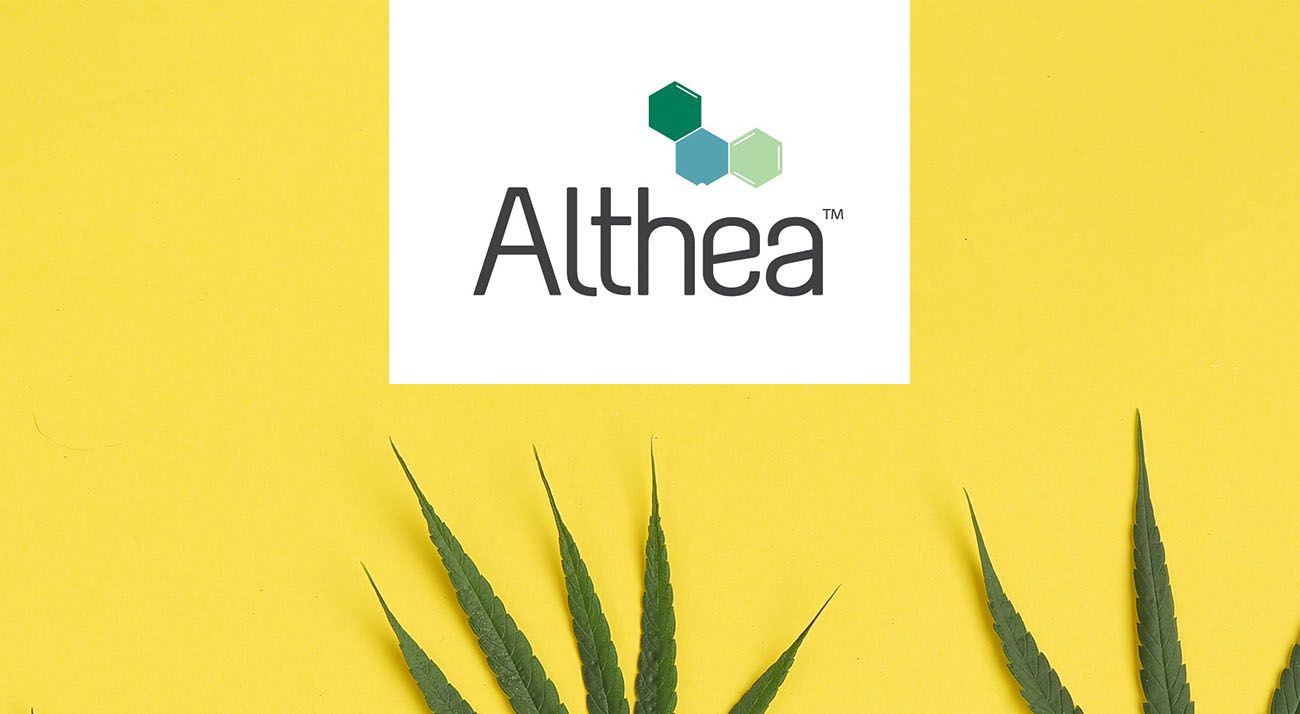 Althea Group logo with cannabis leaf