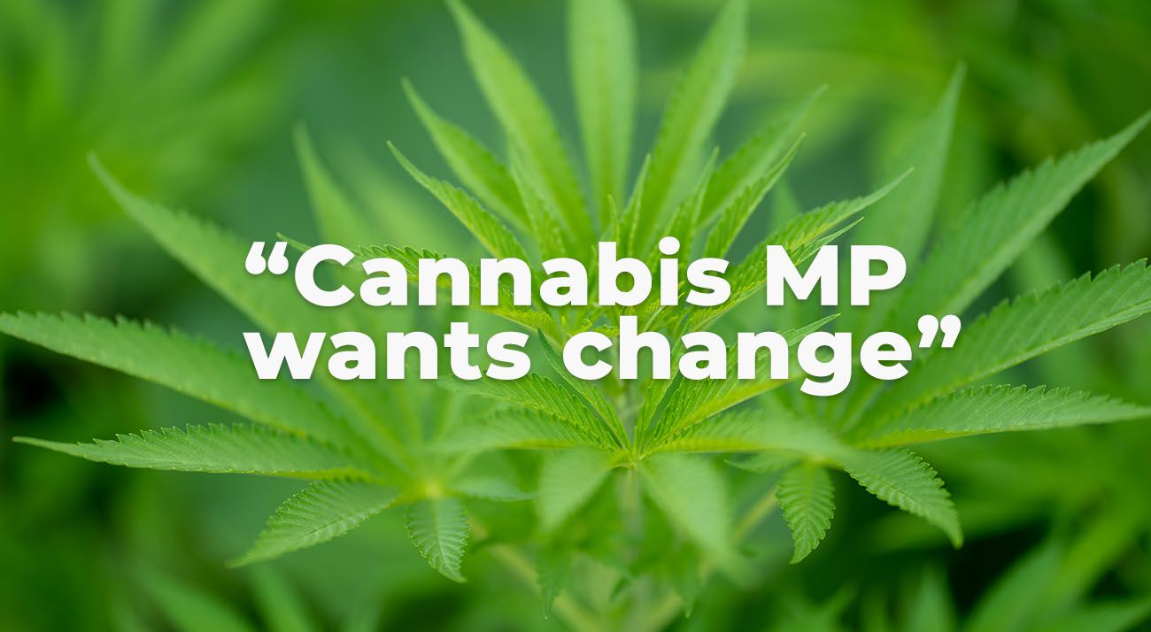 Cannabis mp wants change