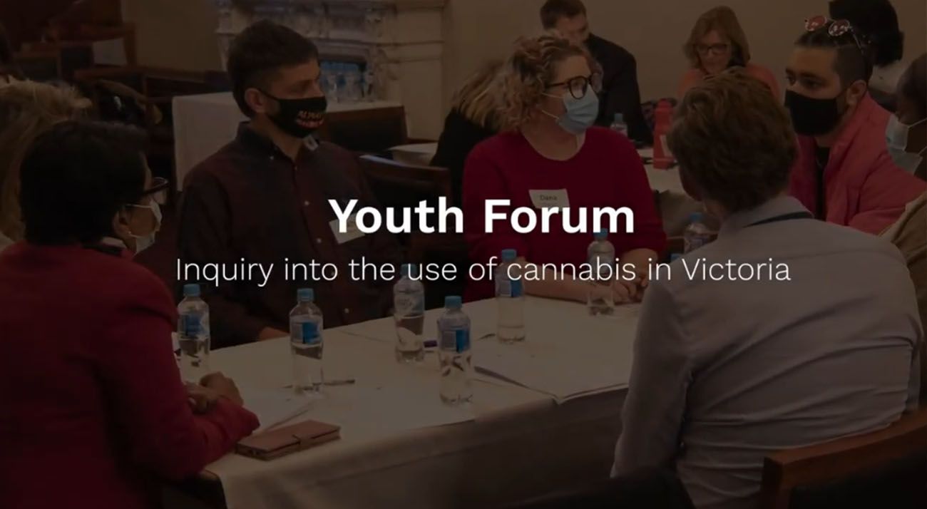Youth Forum inquiry into the use of cannabis