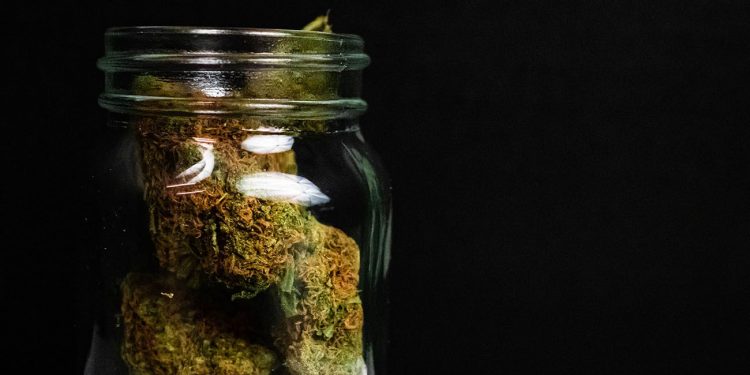 Cannabis buds in a jar on a black background