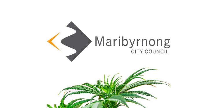 Maribyrnong City Council with cannabis