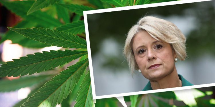 Senator Kristina Keneally on a cannabis background