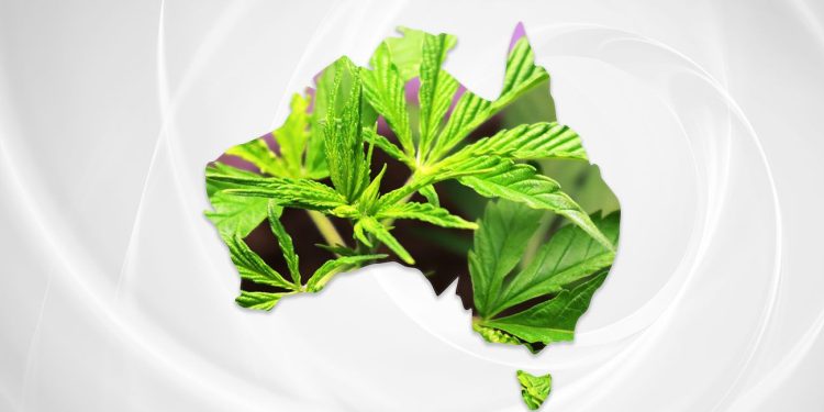 Australia map with cannabis