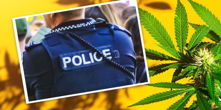 Australian police and cannabis