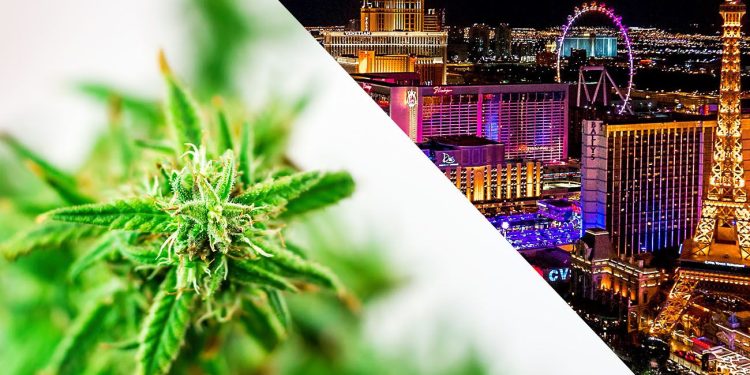 Cannabis in Las Vegas