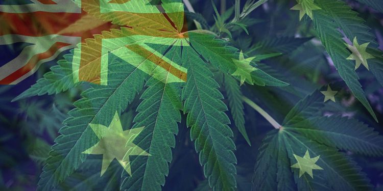 Green cannabis plant with aussie flag