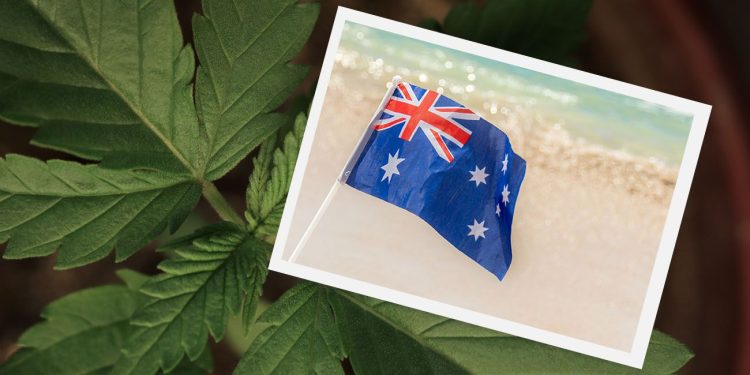 Cannabis with australian flag