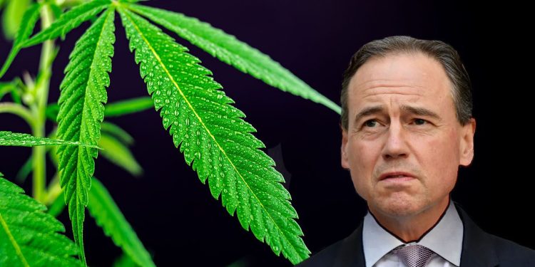 Greg hunt and cannabis