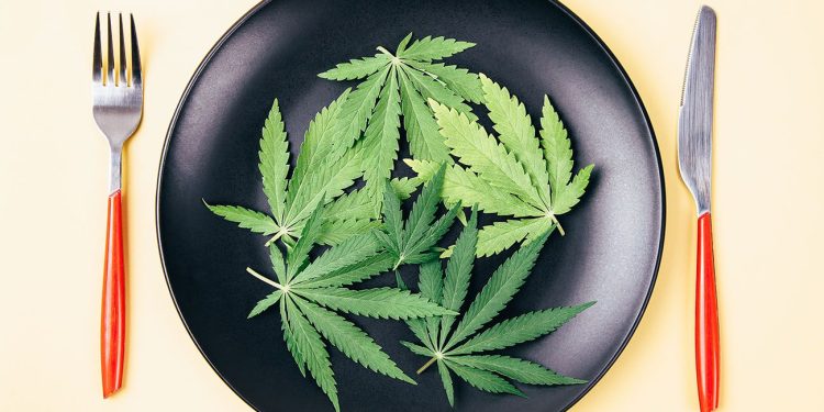 Hemp on a plate