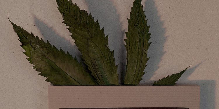 Cannabis in an envelope